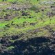 4- Chevaux et chevres sauvages a Ua-Huka 